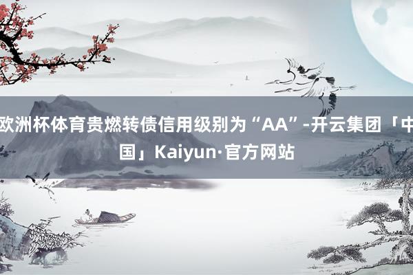 欧洲杯体育贵燃转债信用级别为“AA”-开云集团「中国」Kaiyun·官方网站