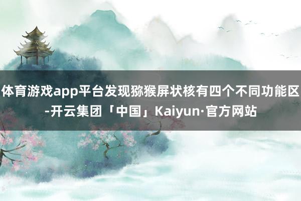 体育游戏app平台发现猕猴屏状核有四个不同功能区-开云集团「中国」Kaiyun·官方网站