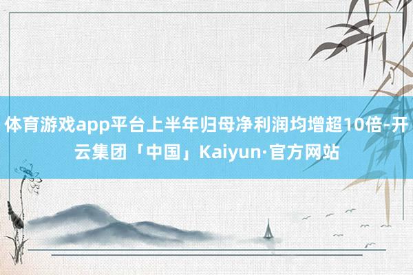 体育游戏app平台上半年归母净利润均增超10倍-开云集团「中国」Kaiyun·官方网站