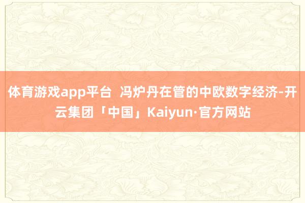 体育游戏app平台  冯炉丹在管的中欧数字经济-开云集团「中国」Kaiyun·官方网站