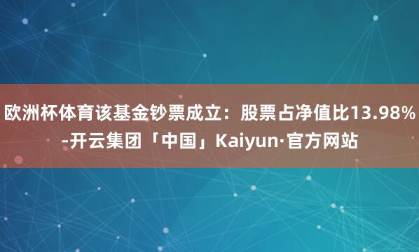 欧洲杯体育该基金钞票成立:股票占净值比13.98%-开云集团「中国」Kaiyun·官方网站